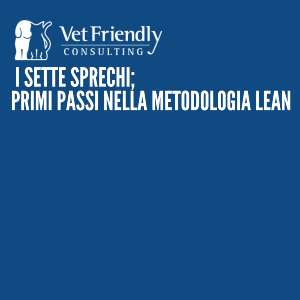 I 7 SPRECHI: PRIMI PASSI NELLA METODOLOGIA LEAN